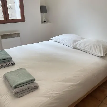 Intra-muros Apartment Avignon